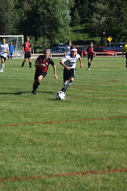 西部排名赛 西部排名赛