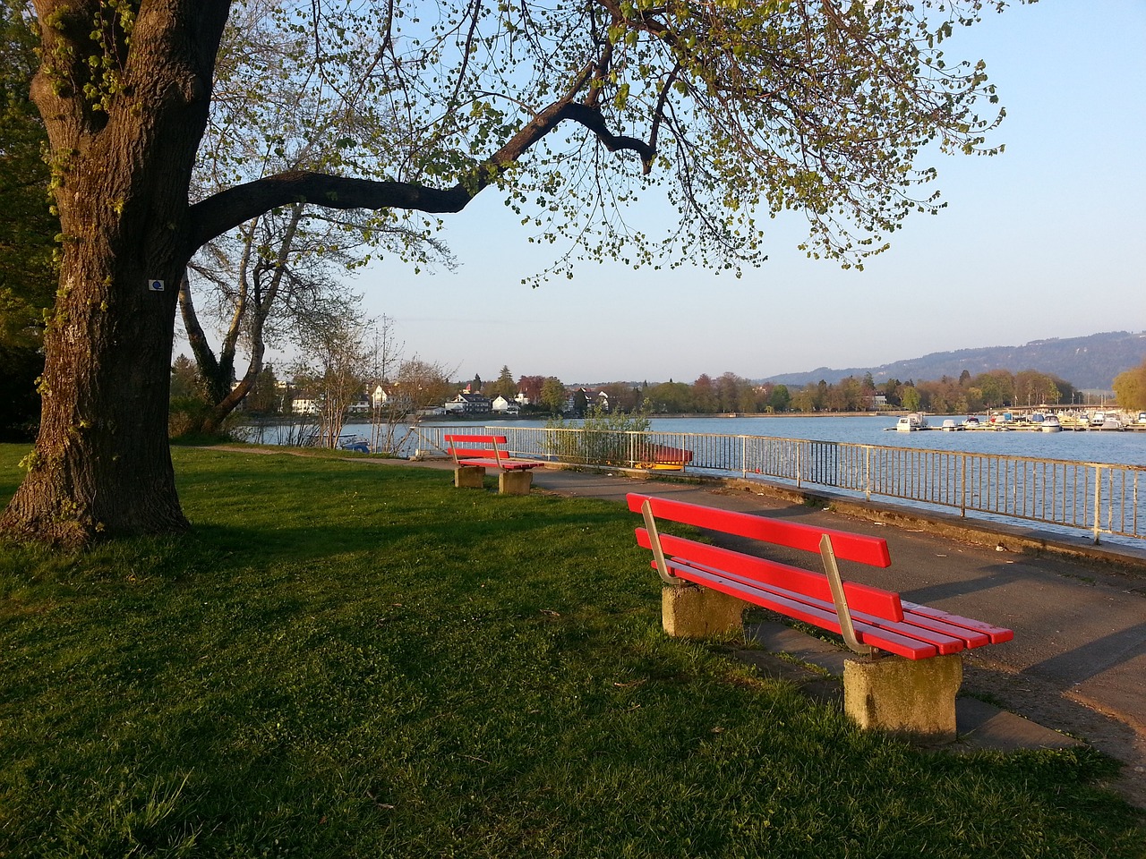 性兼备高峰 性兼备高峰