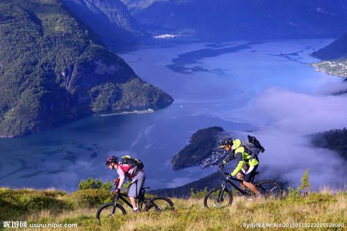 排兵佈陣無 排兵佈陣無