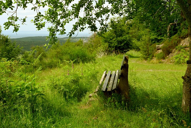 单场三人组 单场三人组